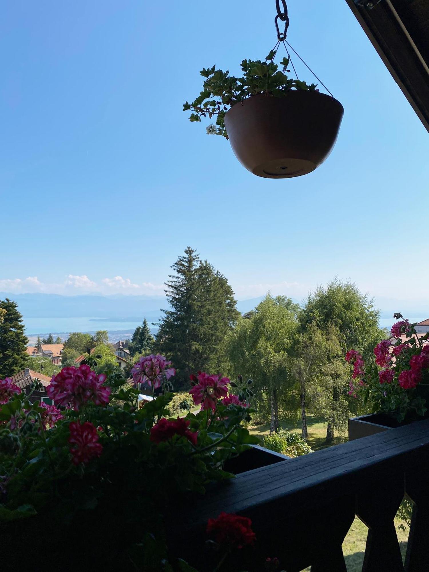 Bnb La Clemonie Bed and Breakfast Arzier Εξωτερικό φωτογραφία